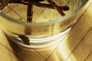 Detail einer Bodenvase mit Zweigen in der Praxis für Paartherapie, Julia Bellabarba